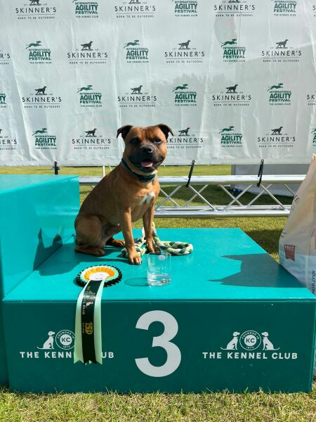 Help me add a SBT to our family...