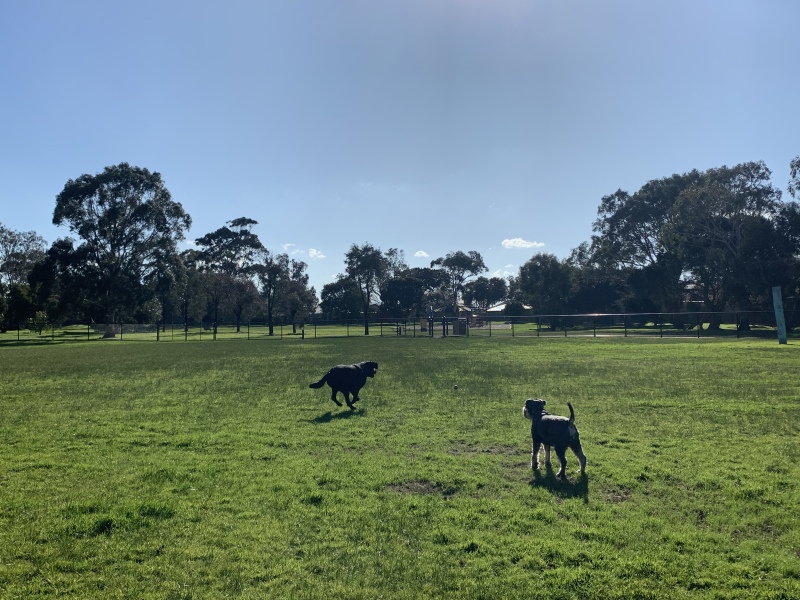 Cancer Support Thread 89 - the best thread that no one wants to be on.