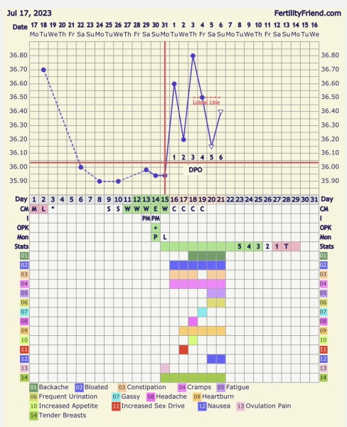 Temps and charting