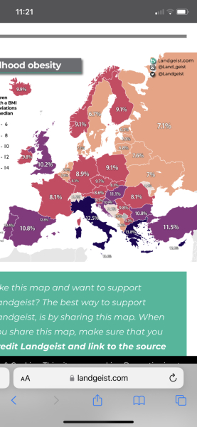 Overweight Brits abroad