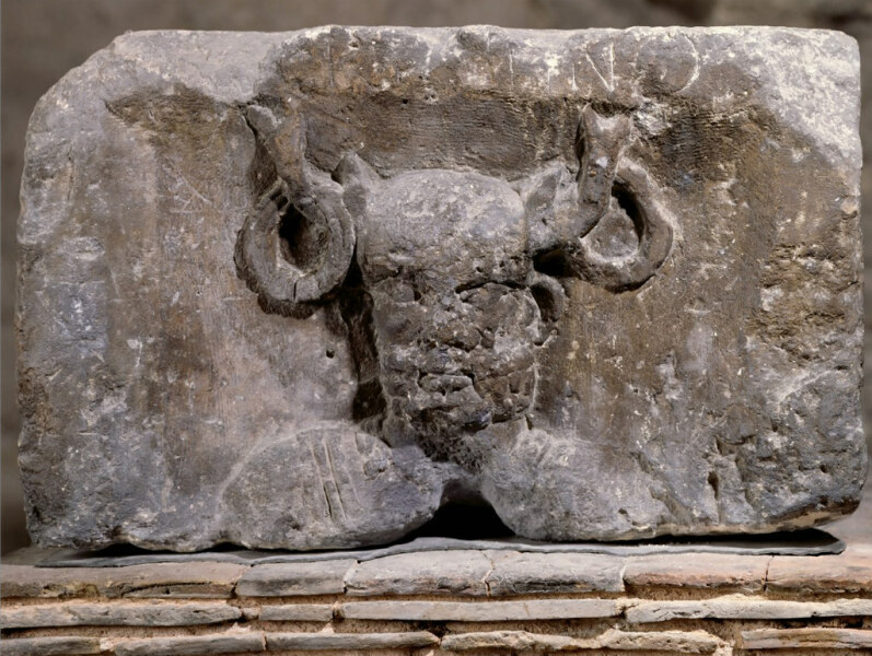 Any Witches Here?- Part 19