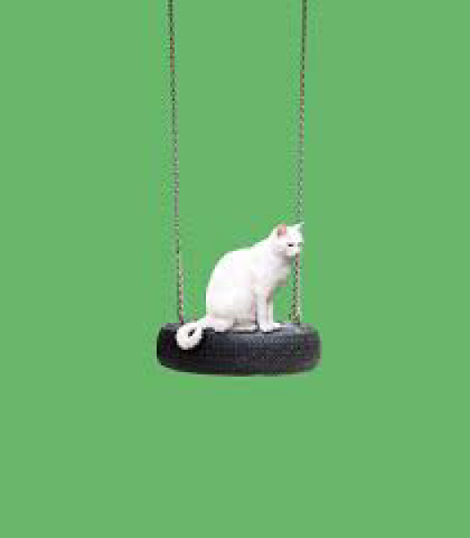 To break into new neighbours house *serious question, NOT trolling*