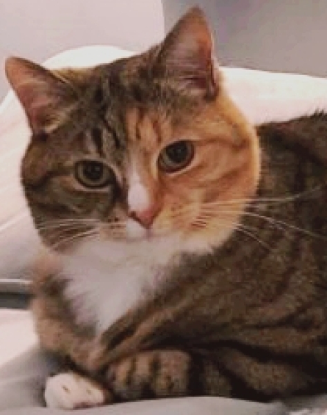 Autistic Women Assemble! #2