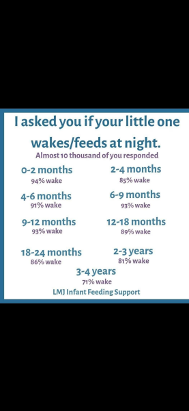 13 month old never slept through the night