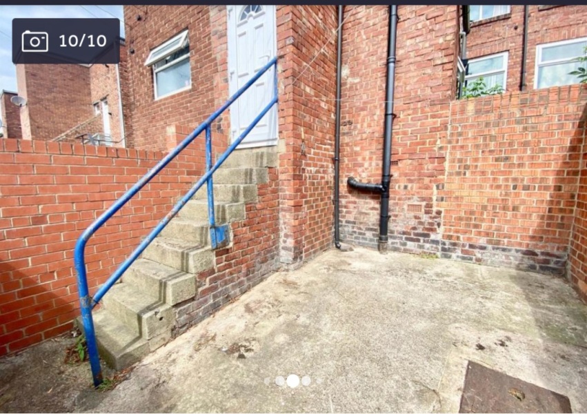 Anyone a dog owner in a flat?