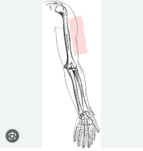 Please help! What would be making this hurt so much??