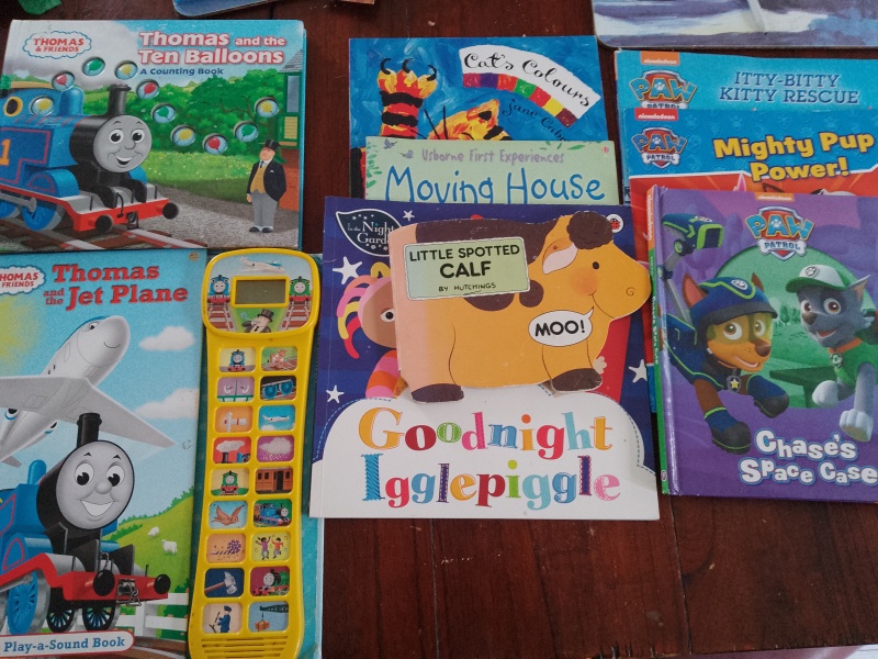 Gulp - just gave away 10+ bags of old toys & books