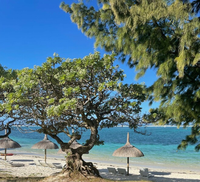 Come and tell me your dull and unexciting news 26: Calmly through the day 