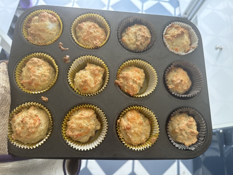 Summer '23 Boot Camp, Week 7: only 2 weeks to go