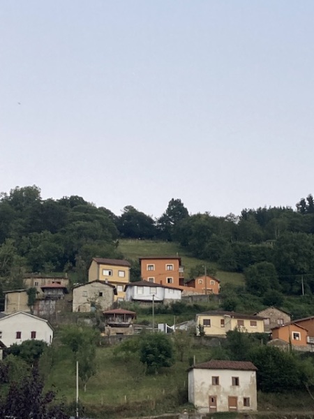 The Saxenda Sisterhood 