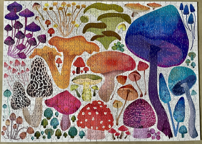 Anyone fancy a new jigsaw thread?