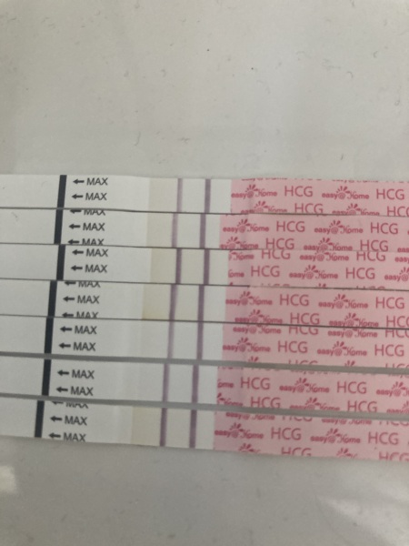 Probably miscarriage or is there hope?