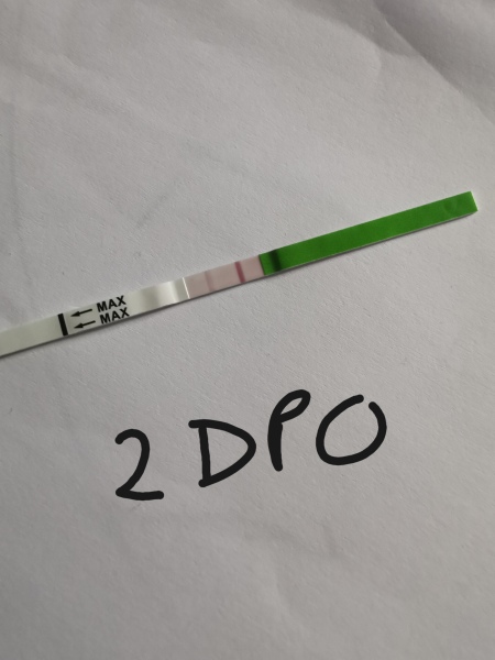 1DPO... Any tww buddies? 