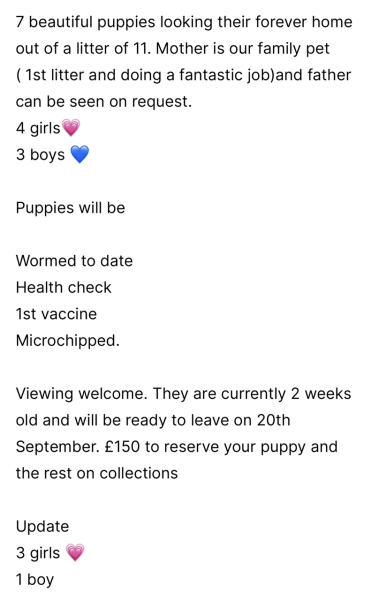 Help me add a SBT to our family...