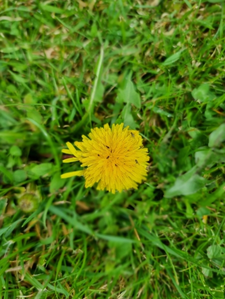 What's made you smile today?