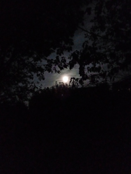 Any Witches Here?- Part 19