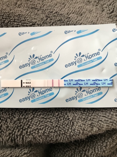 BBTing our way to a BFP in August 🎉