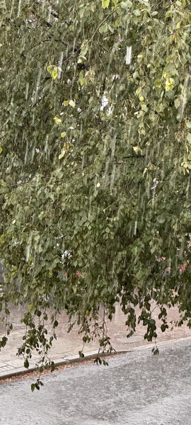 Thread 9 - TalkLair: “Russell's teapot goes on being round”