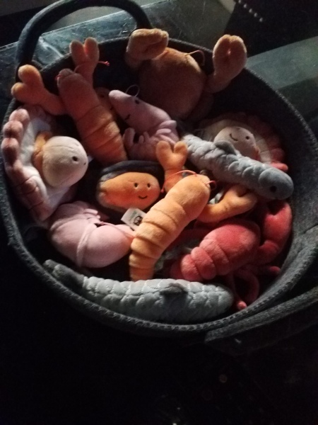 To ask if Jellycat soft toys are worth buying because of how expensive they are?