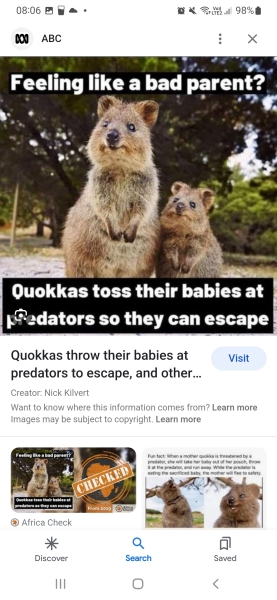 Male kangaroos has 3 penises 