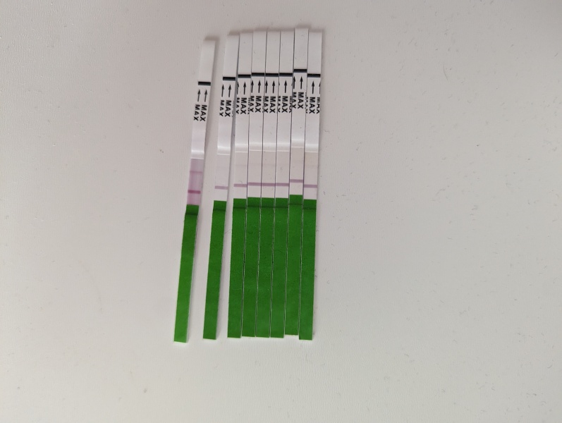 OPK Progression pics