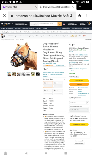 Muzzle for a Staffie