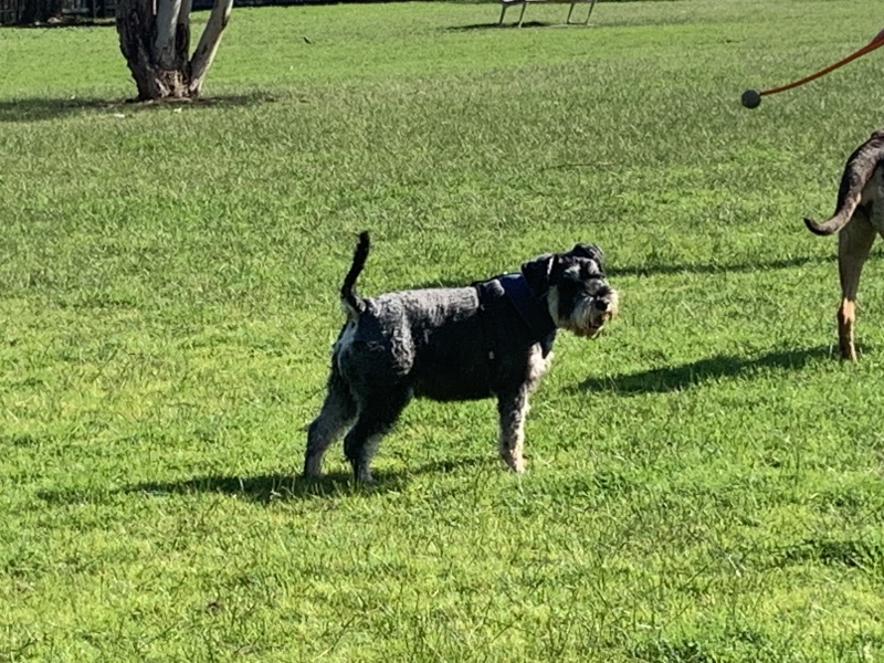 Cancer Support Thread 89 - the best thread that no one wants to be on.