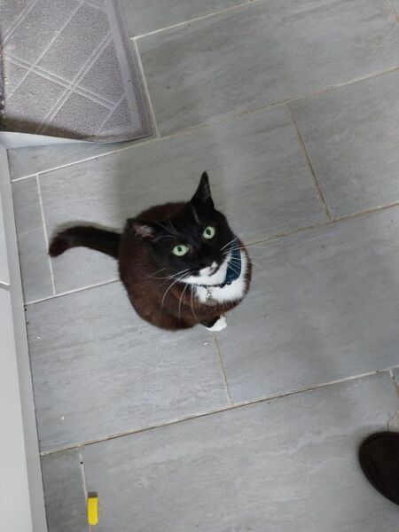 Did you know that she has never ever been fed in her life