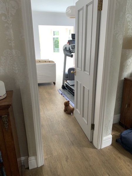 With pics - Channel your Sarah Beeny ideas for me please? With pics