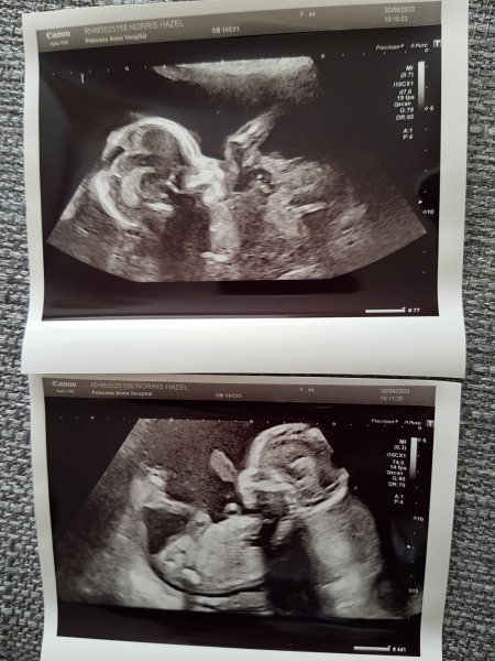 Due January Part 2024 Part 6 🎉
