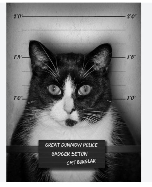 To break into my new neighbours house *THREAD 3: The Final Conundrum*