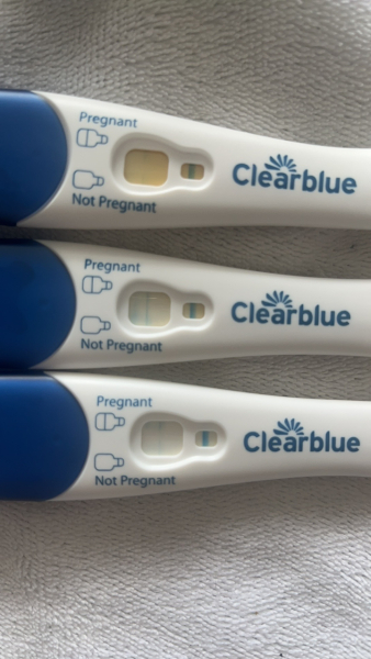 Evap lines or pregnant?