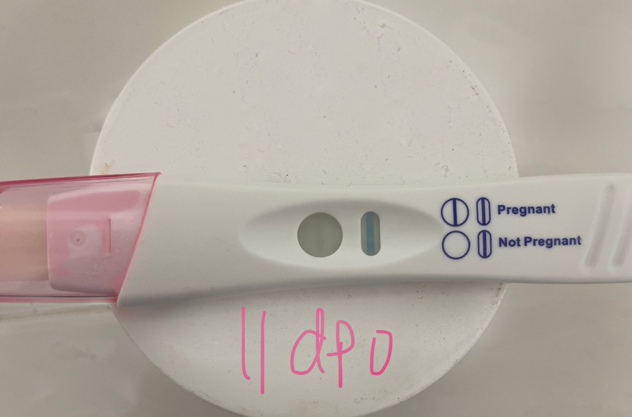 11dpo