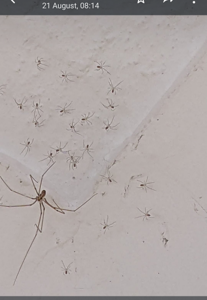 I have a new bedroom guest…