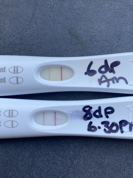 BFP 19/08/23 - anyone else?