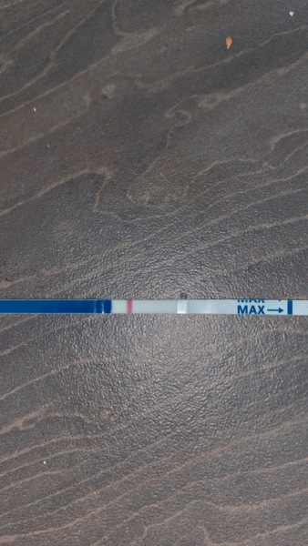 Looking for TWW buddies....