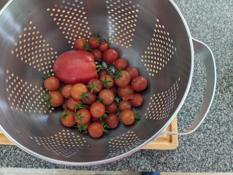 Countdown to Christmas 2023: launching into summer with more Christmas planning (thread 2) 