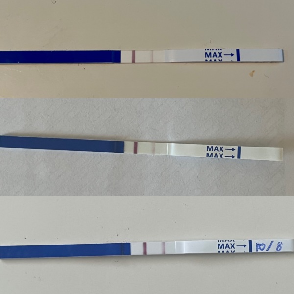 Test Progression