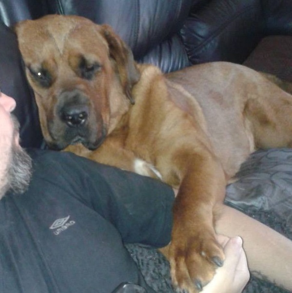 Cancer Support Thread 89 - the best thread that no one wants to be on.