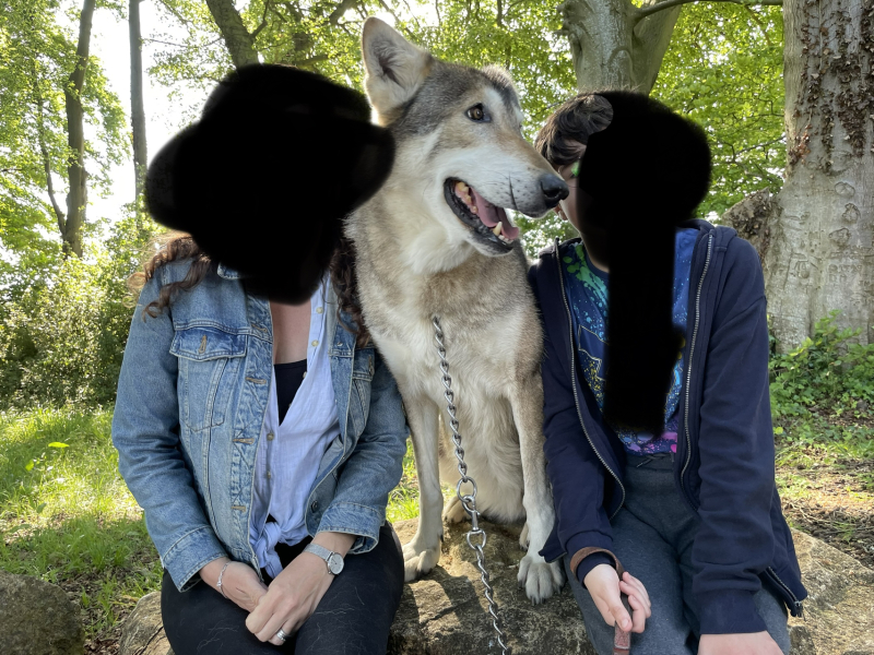 Dog breeds that lean (on people) - do you know any?