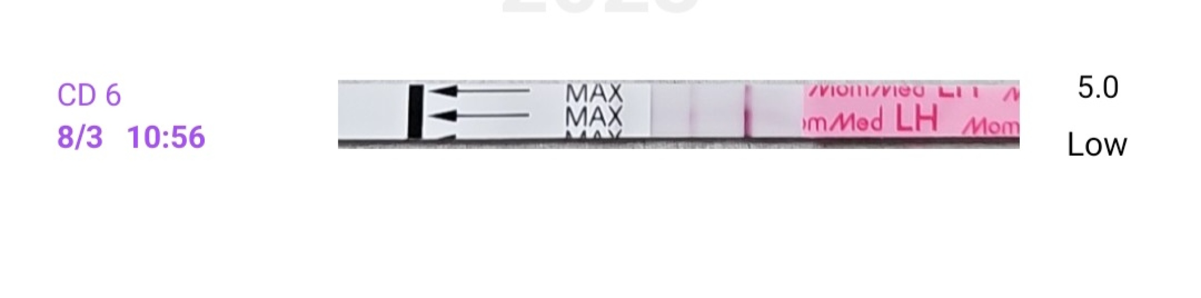 BBTing our way to a BFP in August 🎉