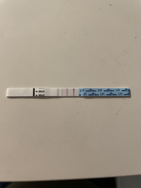 BBTing our way to a BFP in August 🎉