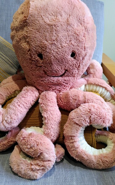 To ask if Jellycat soft toys are worth buying because of how expensive they are?