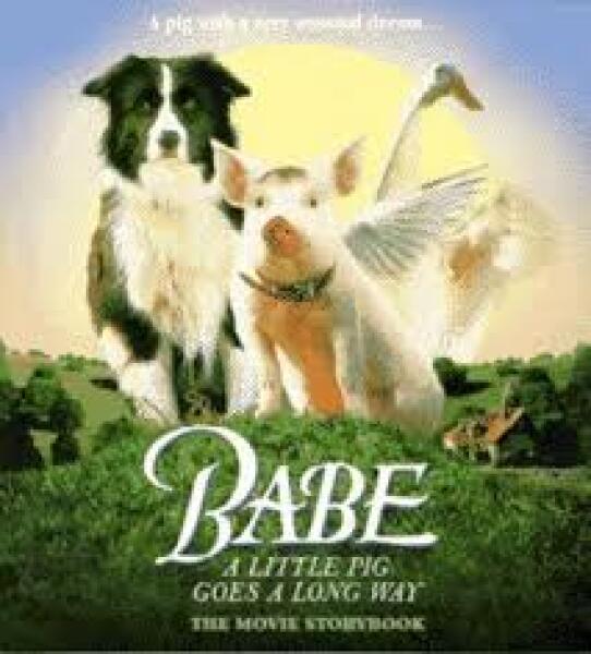 Timmy will be played by a border collie. Wrong. Just so wrong.