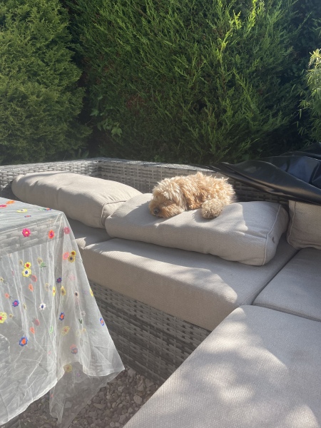 Cancer Support Thread 89 - the best thread that no one wants to be on.