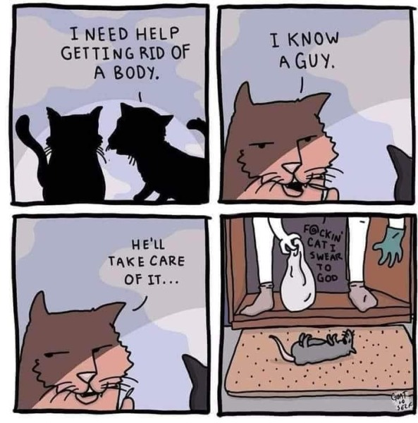 Can I stop cat bringing mice in?