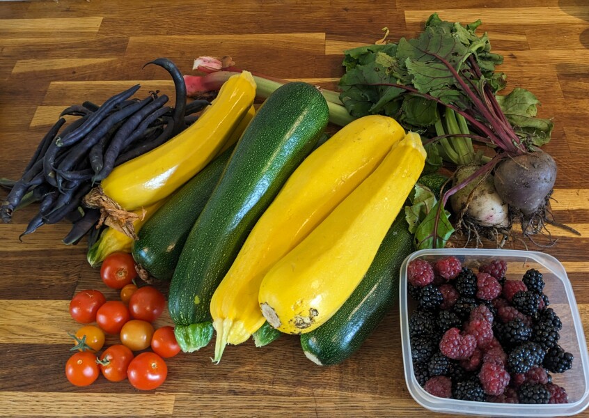 The Vegetable Patch Mark 2