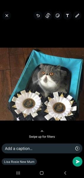 Potential new inmate at Toddler Towers.