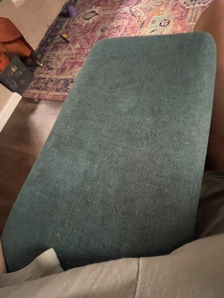 Help me clean this sofa!