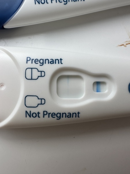 Clear blue test. Evap line or positive